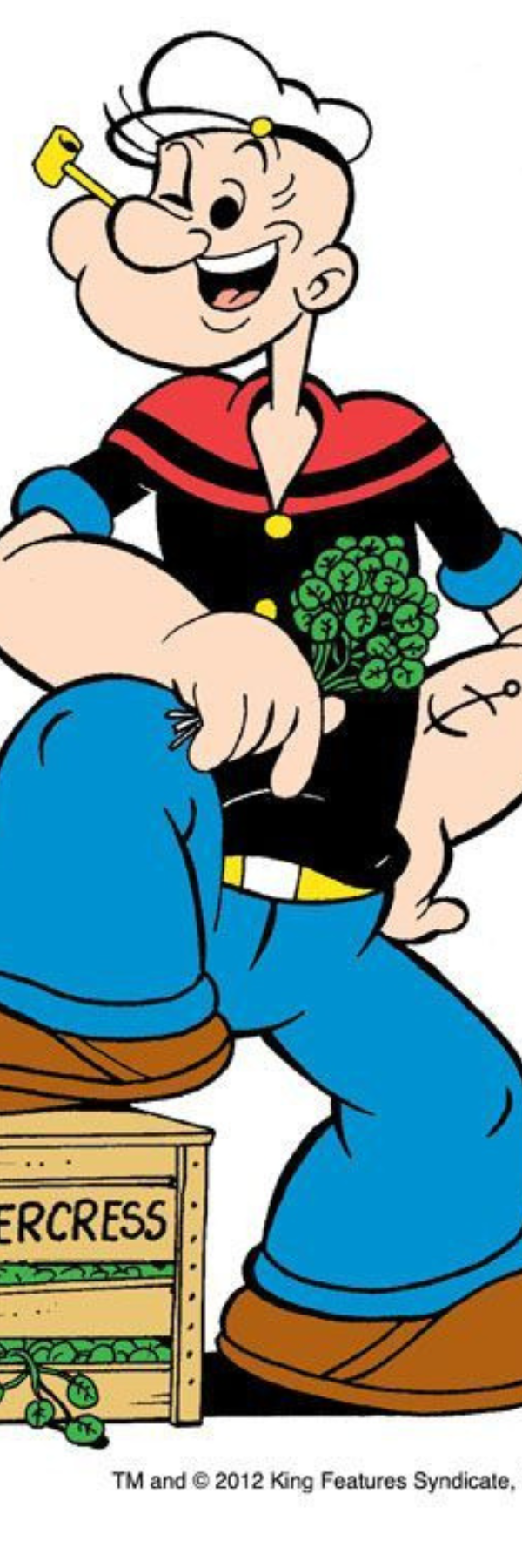 Popeye Sitting with Spinach Bookmark – Cartoon Classic Design